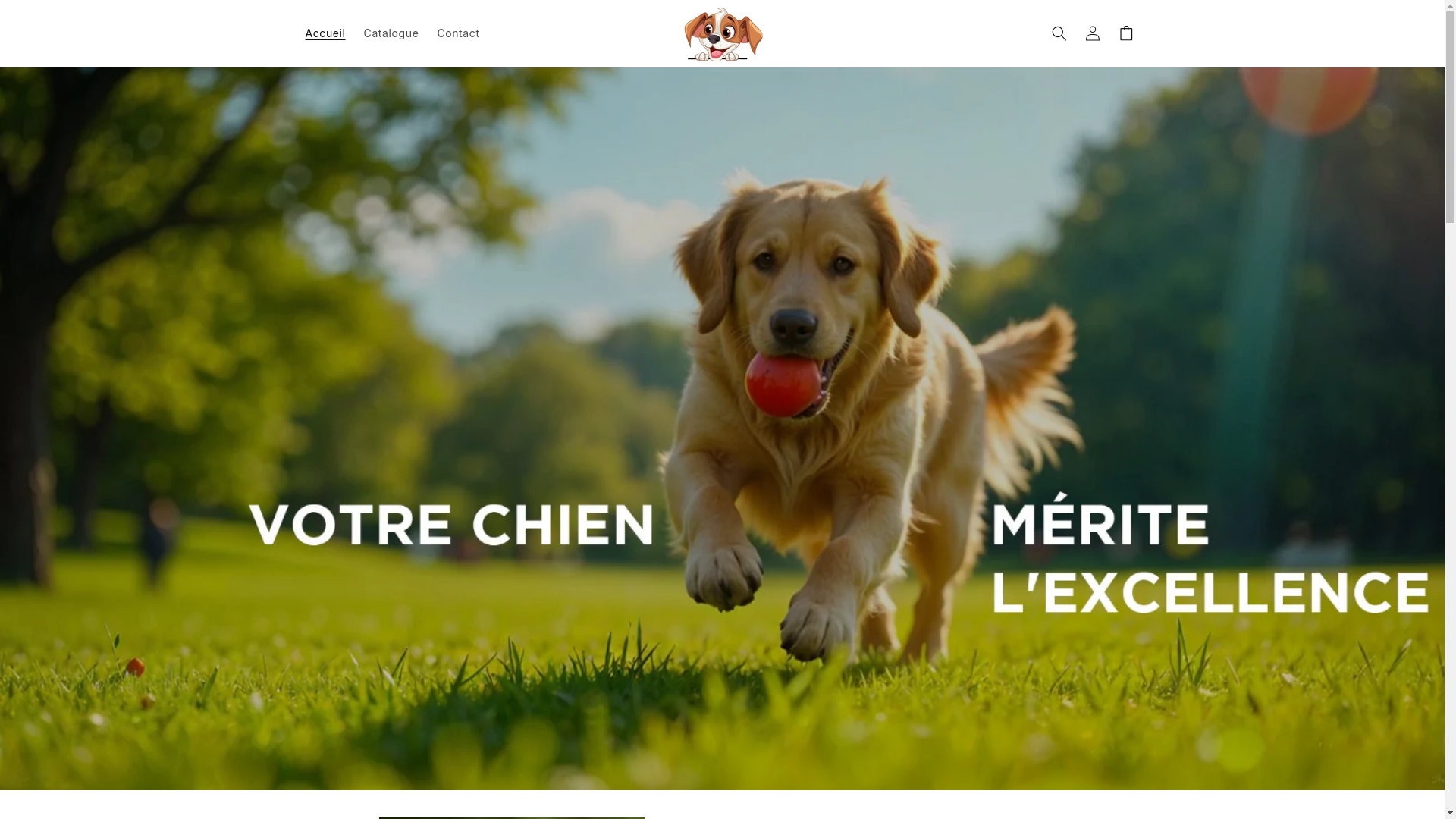 website screenshot of https://copaincanins.com/