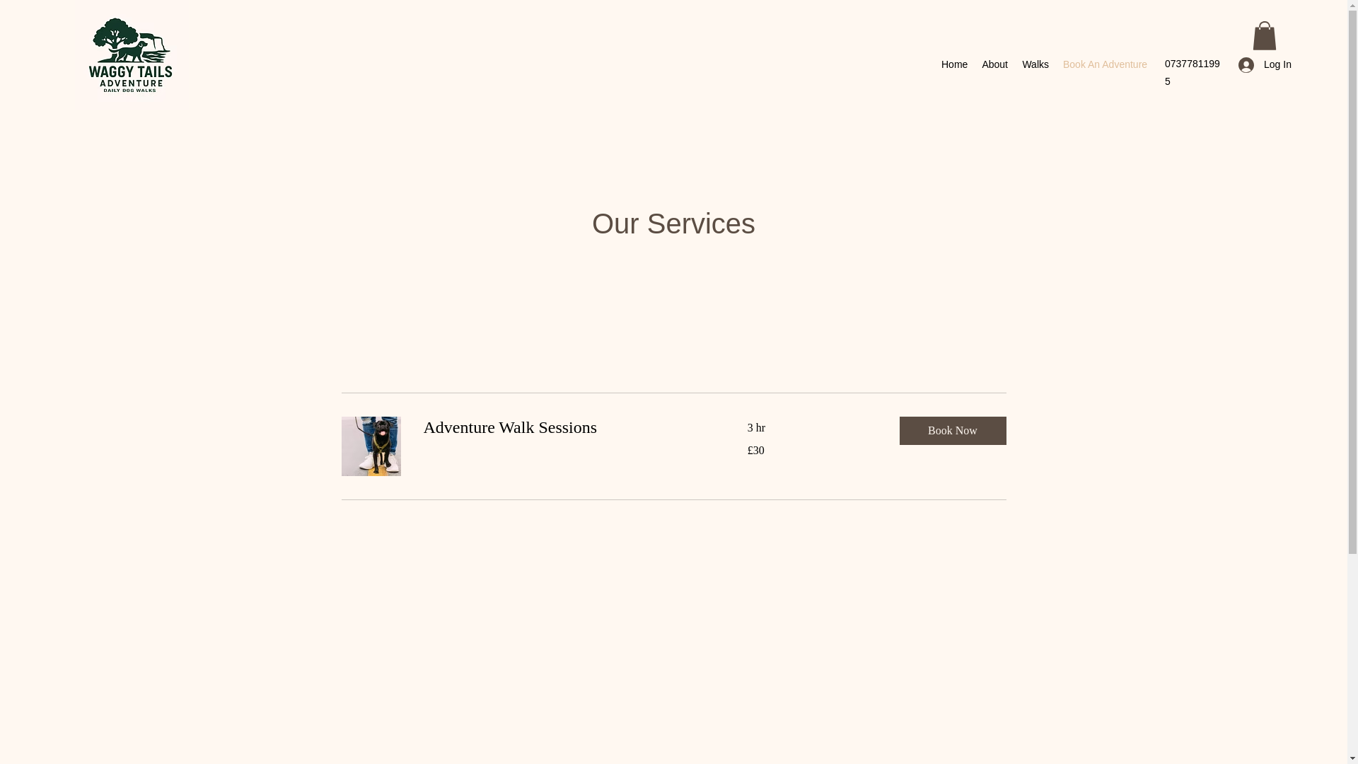 website screenshot of https://waggytailsadventure.co.uk/