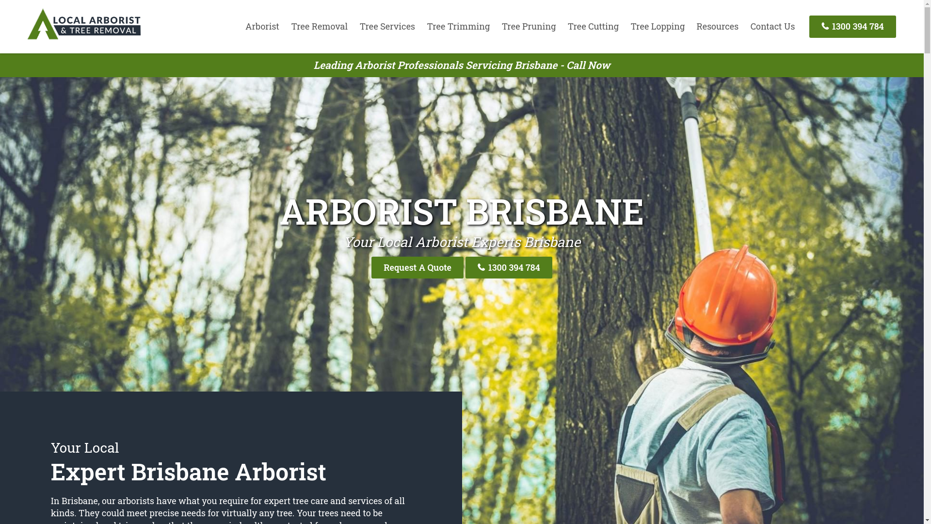website screenshot of https://treecuttingservicesbrisbane-com-au.pages.dev/