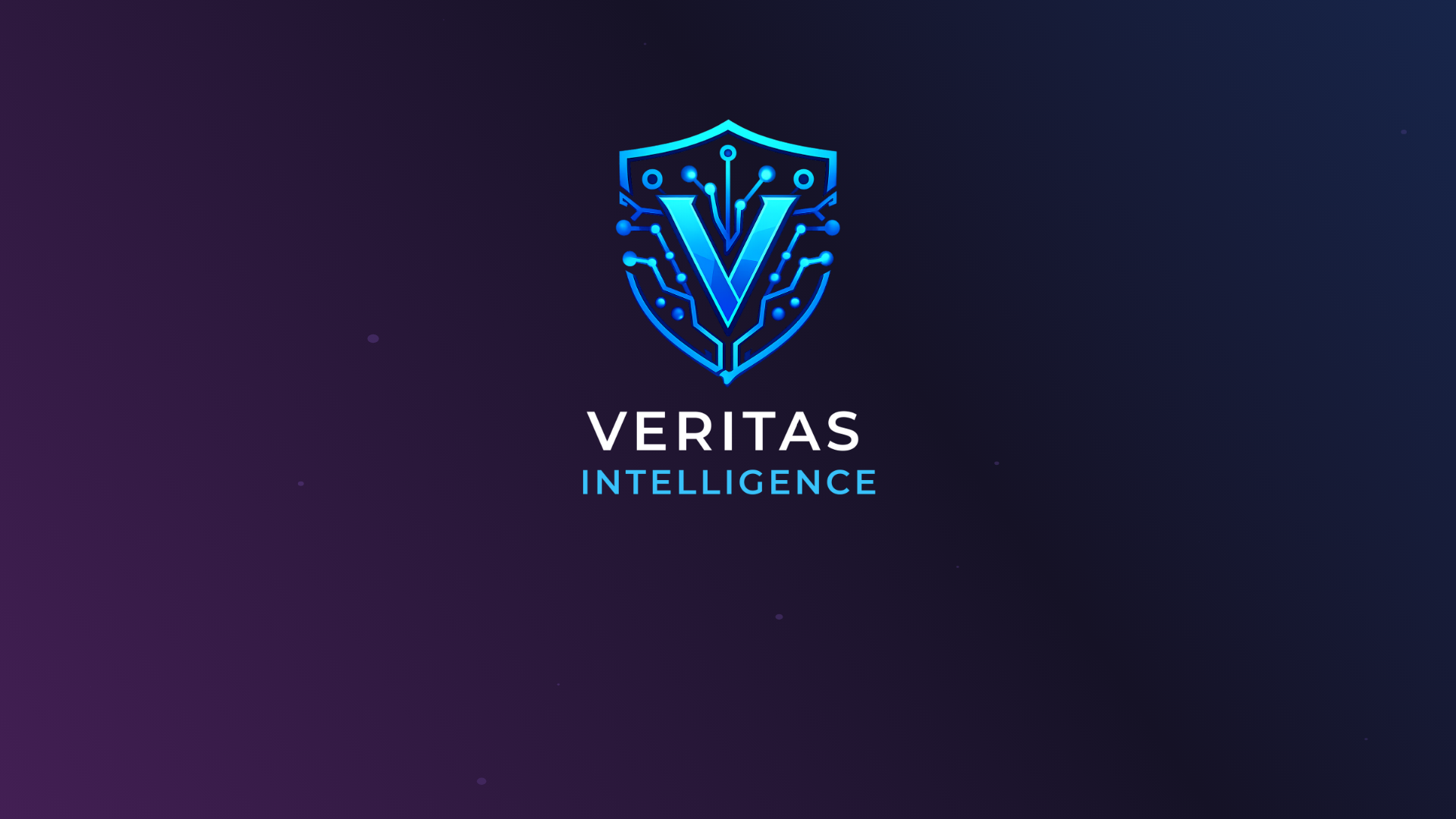 website screenshot of https://veritasintel.co