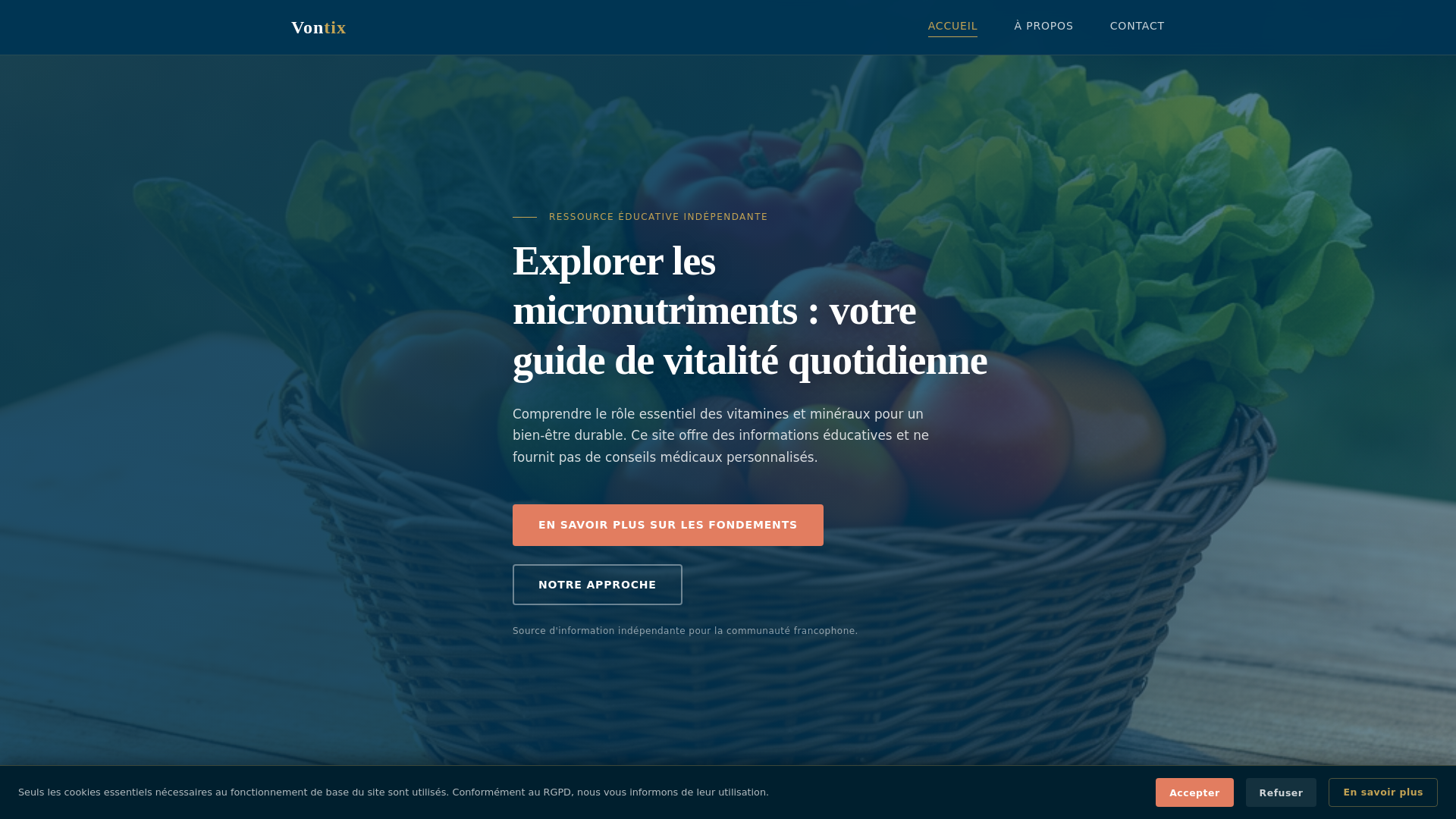 website screenshot of https://vontixaw.info/