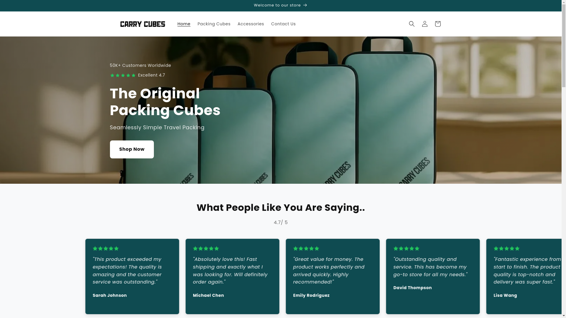 website screenshot of https://travelciub.com/