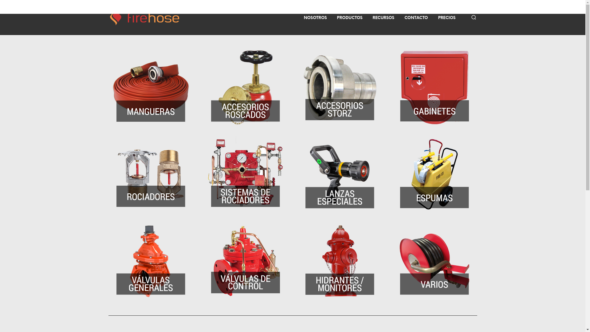 website screenshot of https://firehose.com.ar/