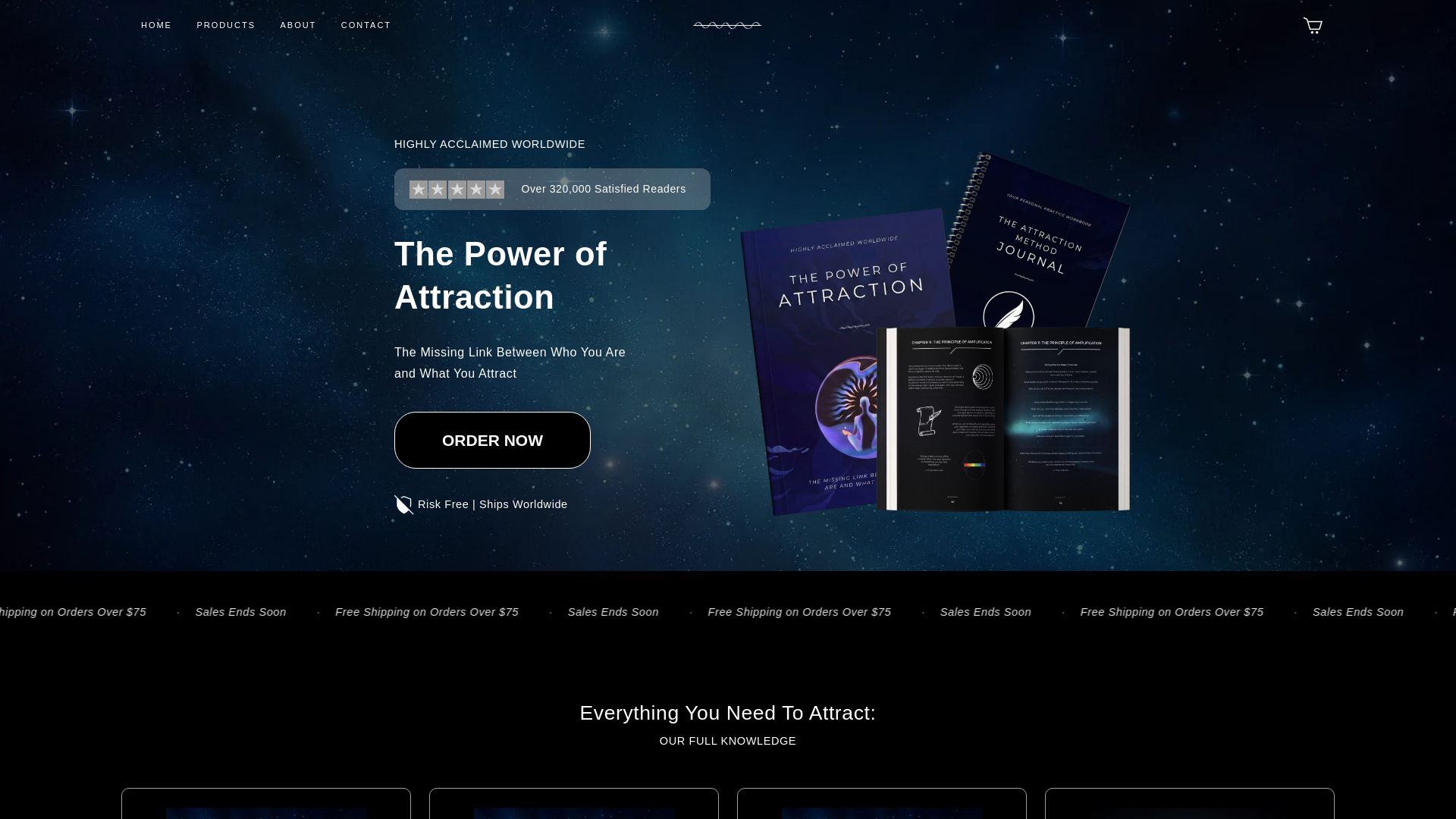 website screenshot of https://accurateattraction.com/