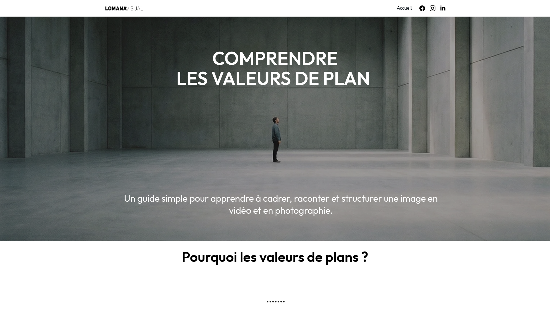 website screenshot of https://lomanavisualformation.fr/