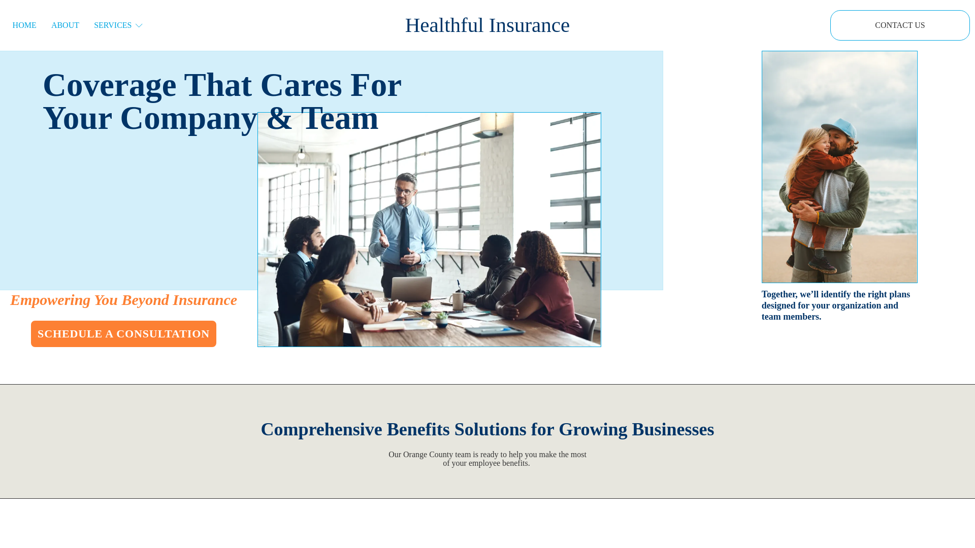 website screenshot of https://healthfulins.info/