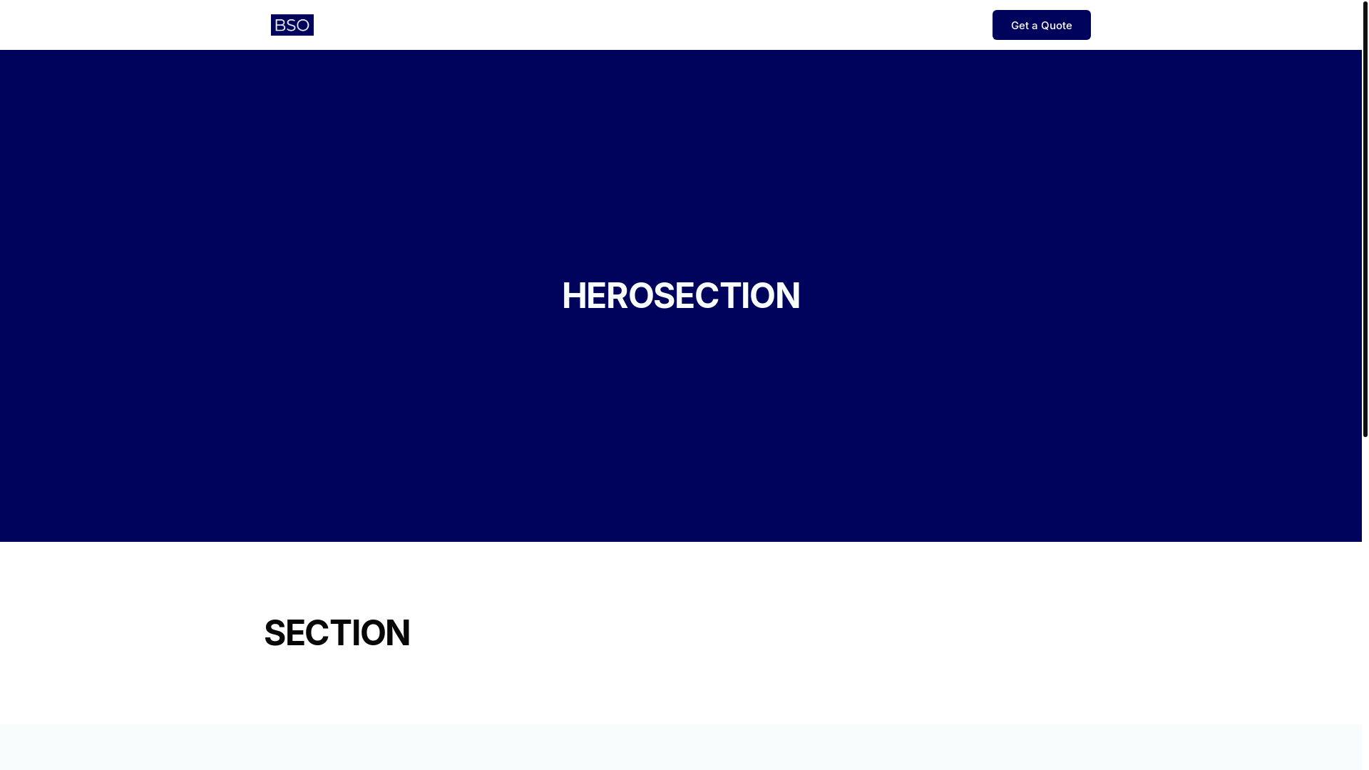 website screenshot of https://bso-management.de/