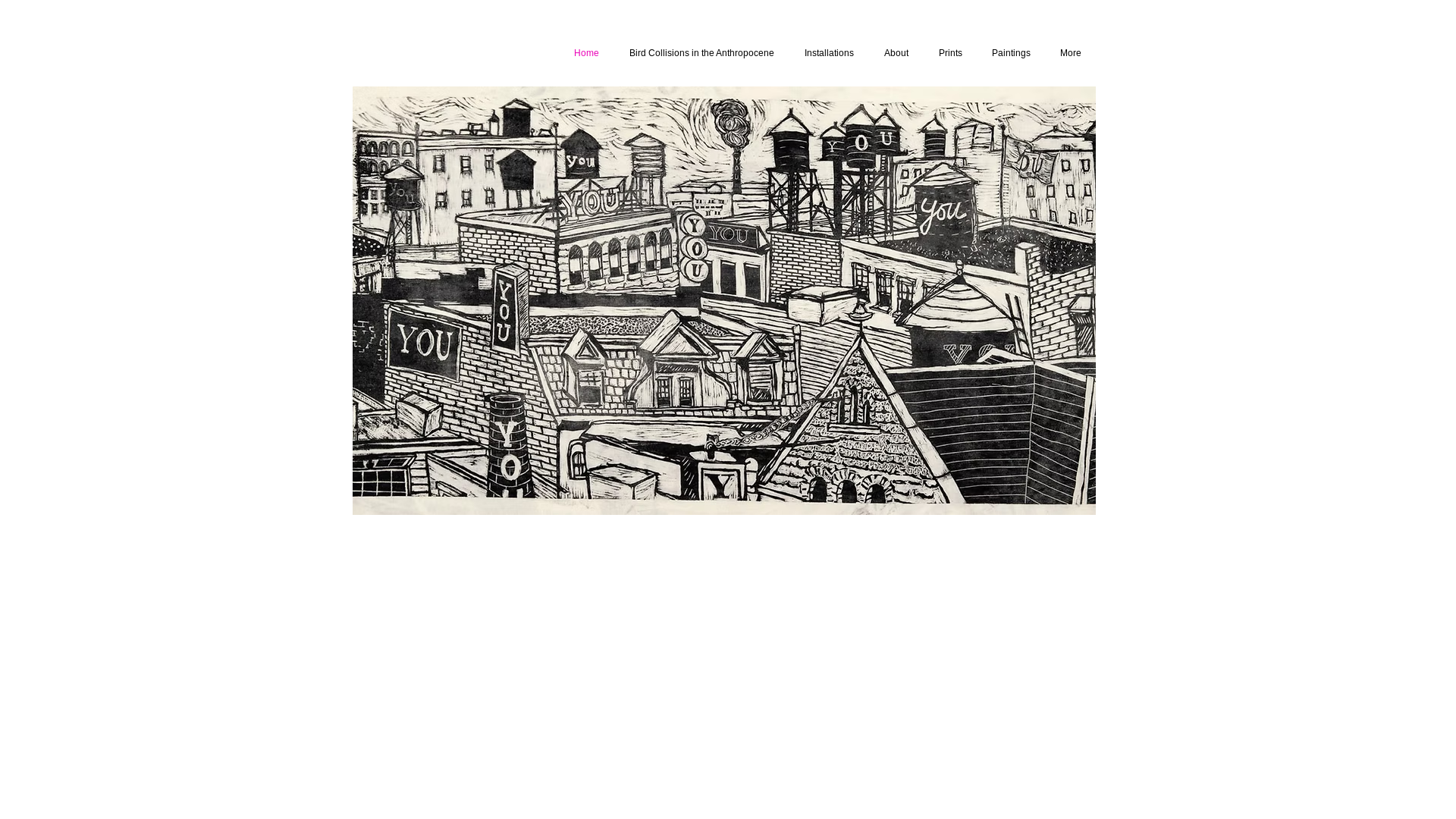 website screenshot of https://birdcollisionsproject.org/