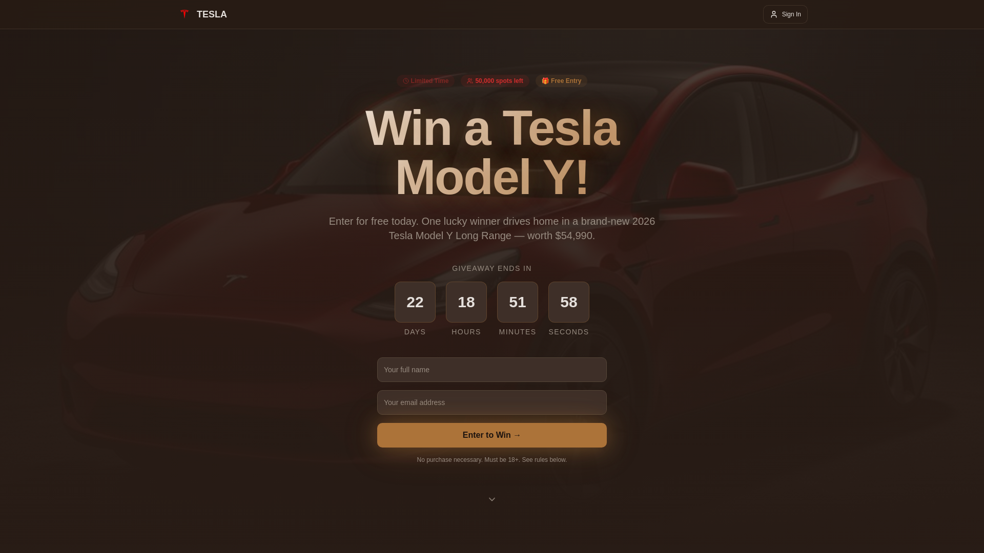 website screenshot of https://tesladdg.com
