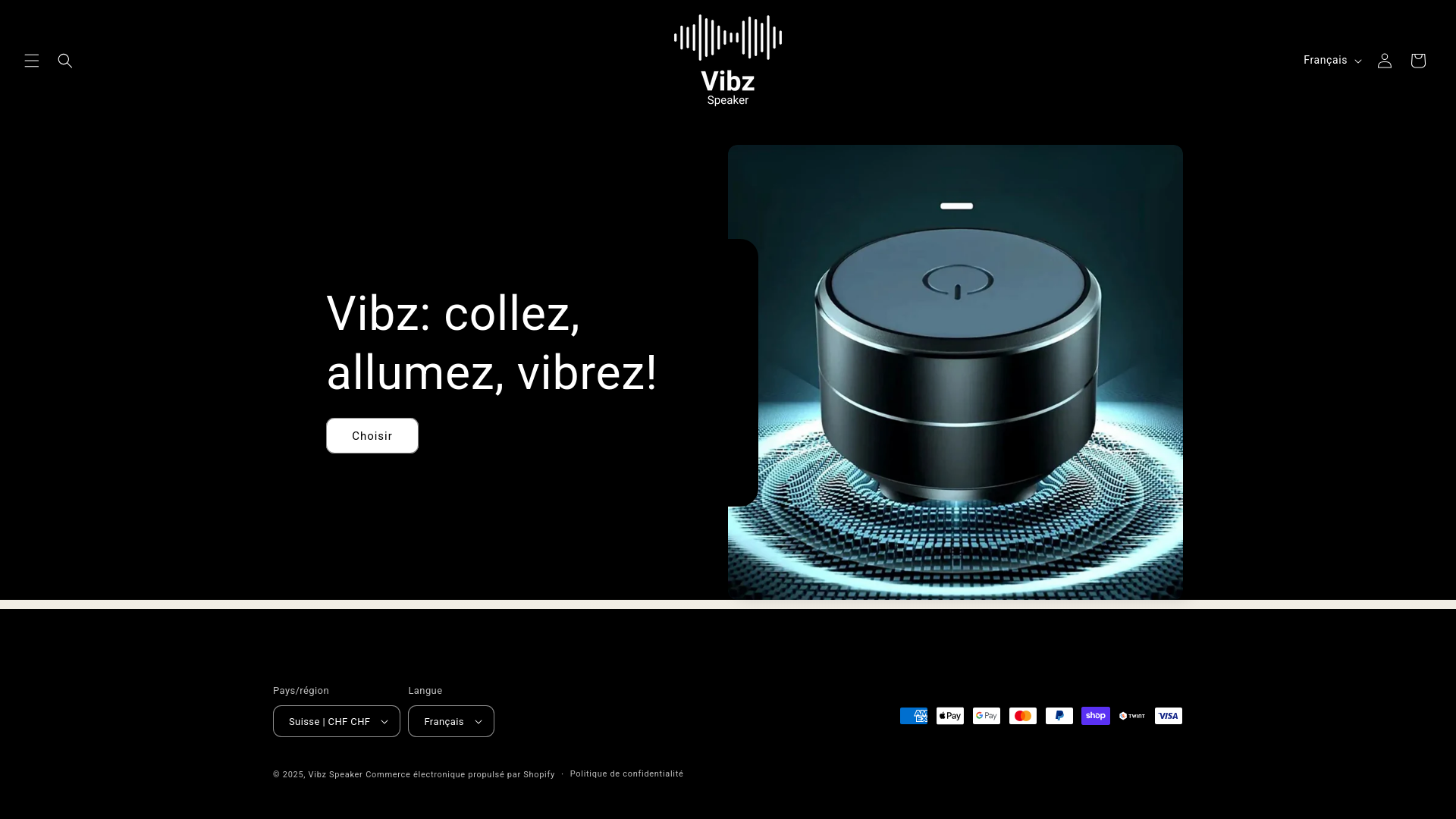 website screenshot of https://vibzspeaker.com/