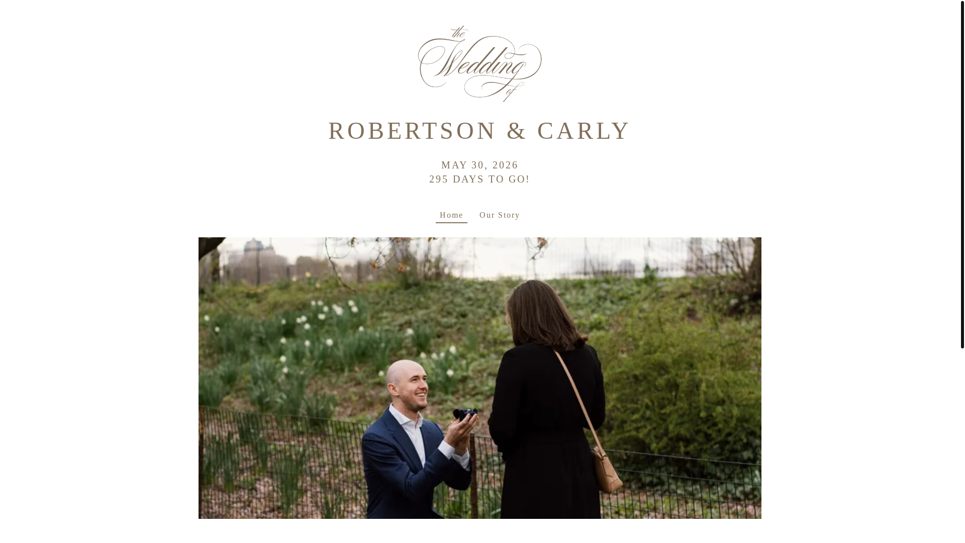 website screenshot of https://carlyandrobertson.com/