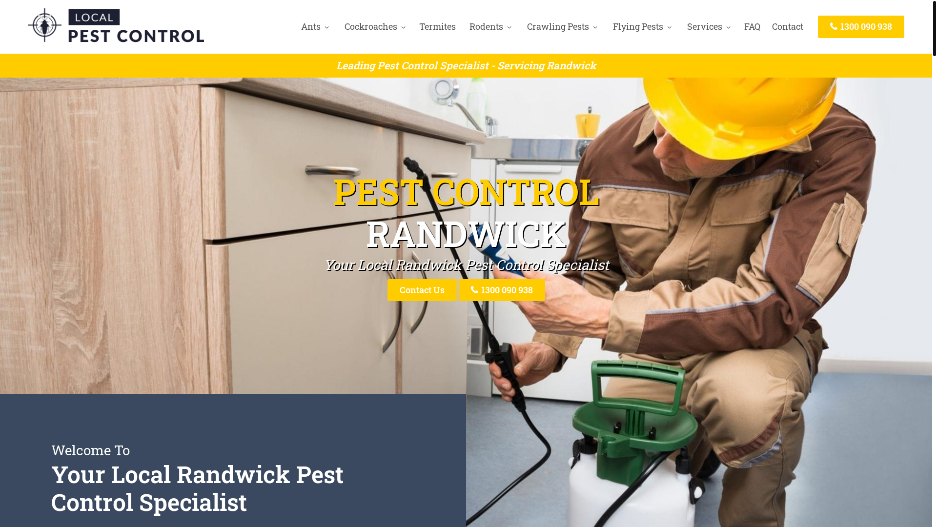website screenshot of https://pestcontrolrandwick-net-au.pages.dev/