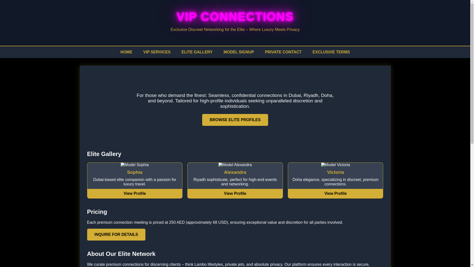 website screenshot of https://vipconnections.me/