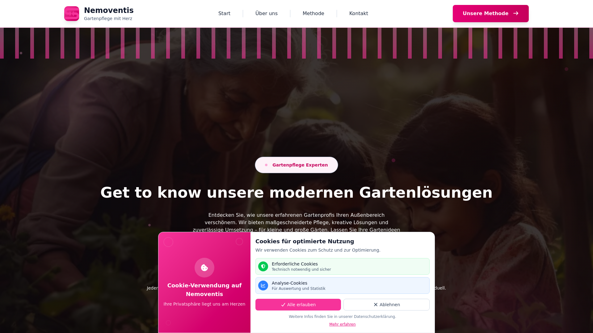 website screenshot of https://nemoventis.com/