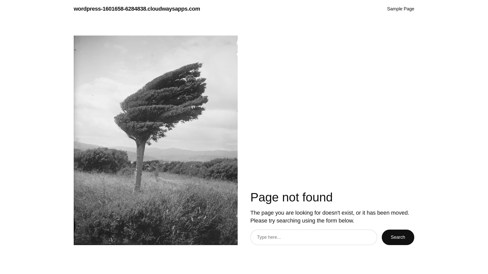 website screenshot of https://berdobaatrno.com/
