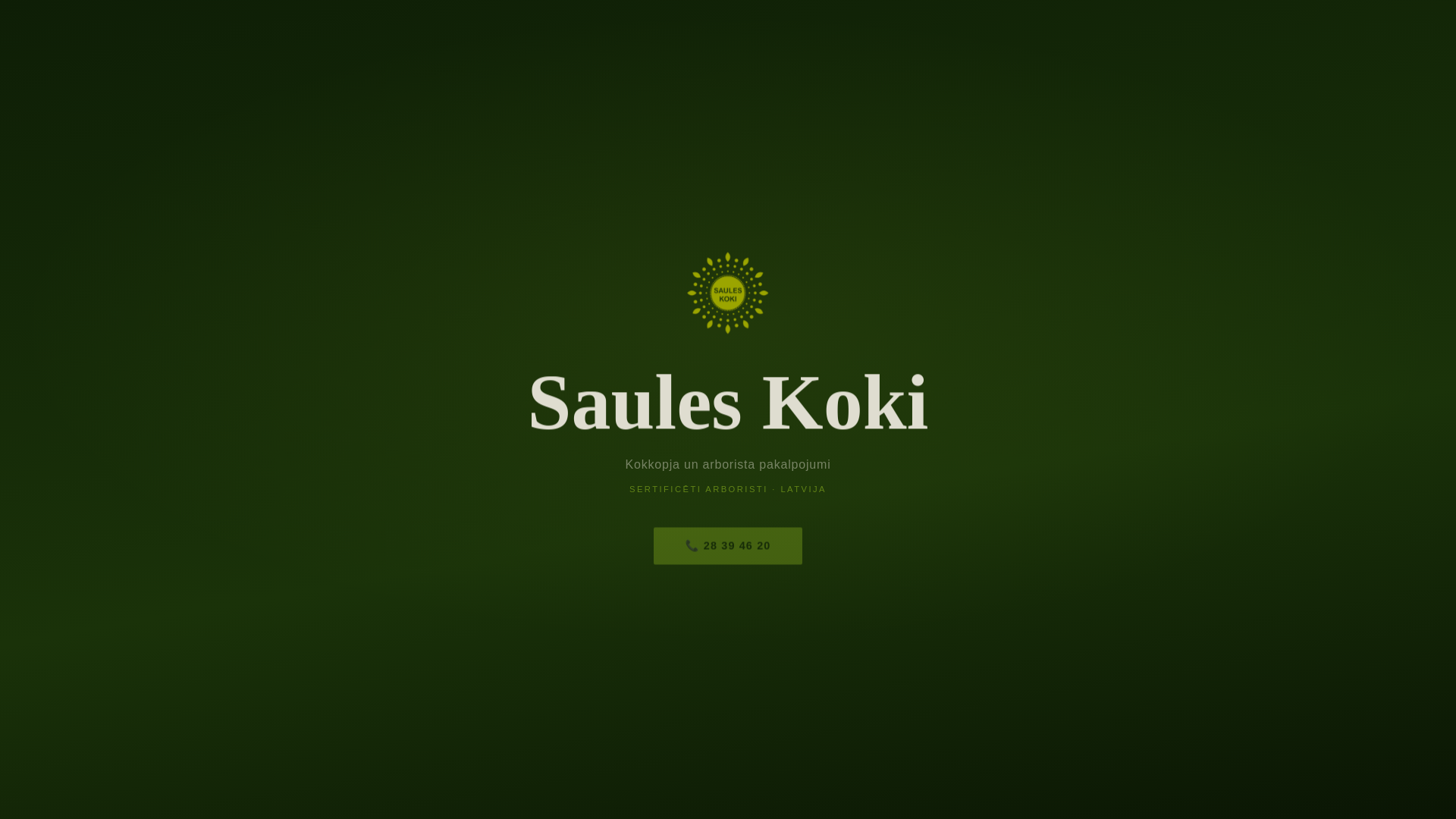 website screenshot of https://landing-eul.pages.dev/