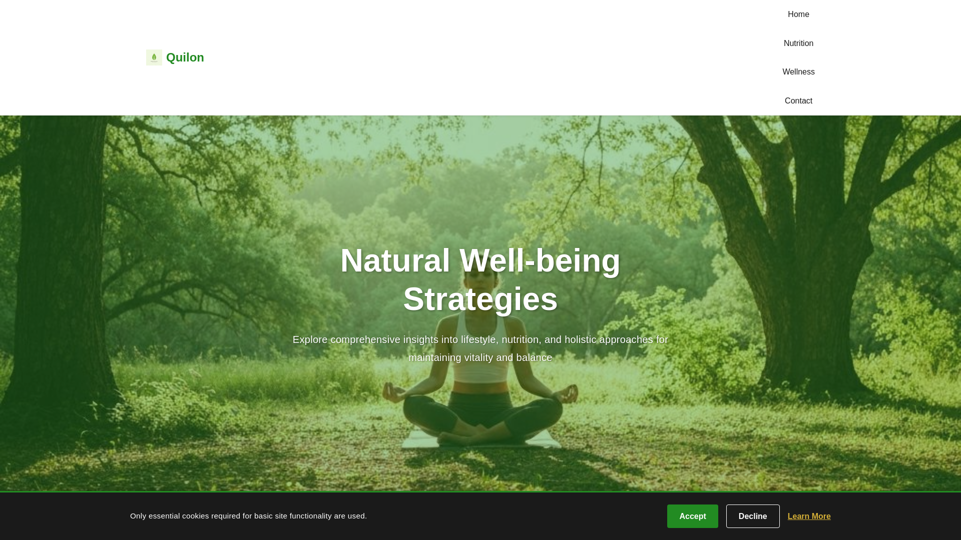 website screenshot of https://quilon.info/