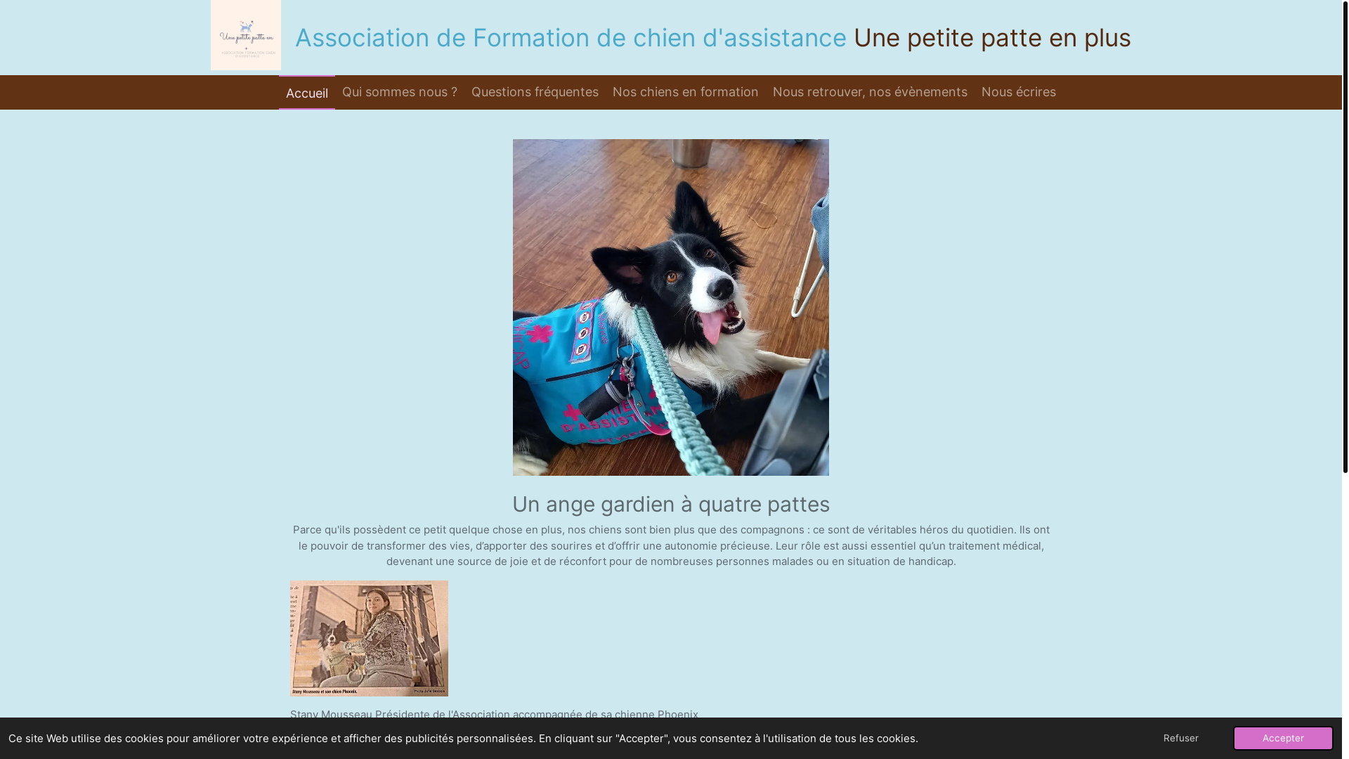 website screenshot of https://unepetitepatteenplus.fr/