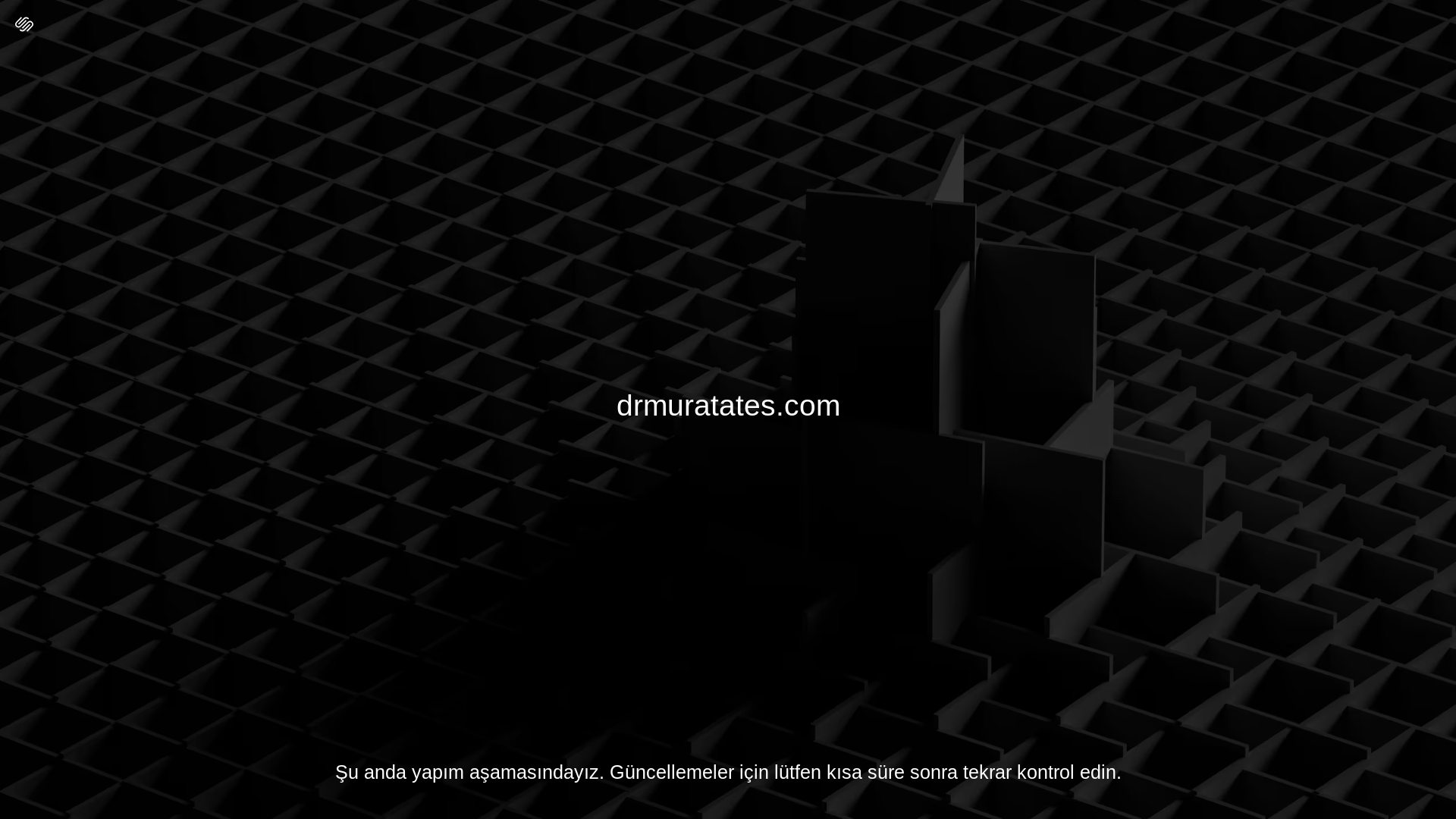 website screenshot of https://drmuratates.com/