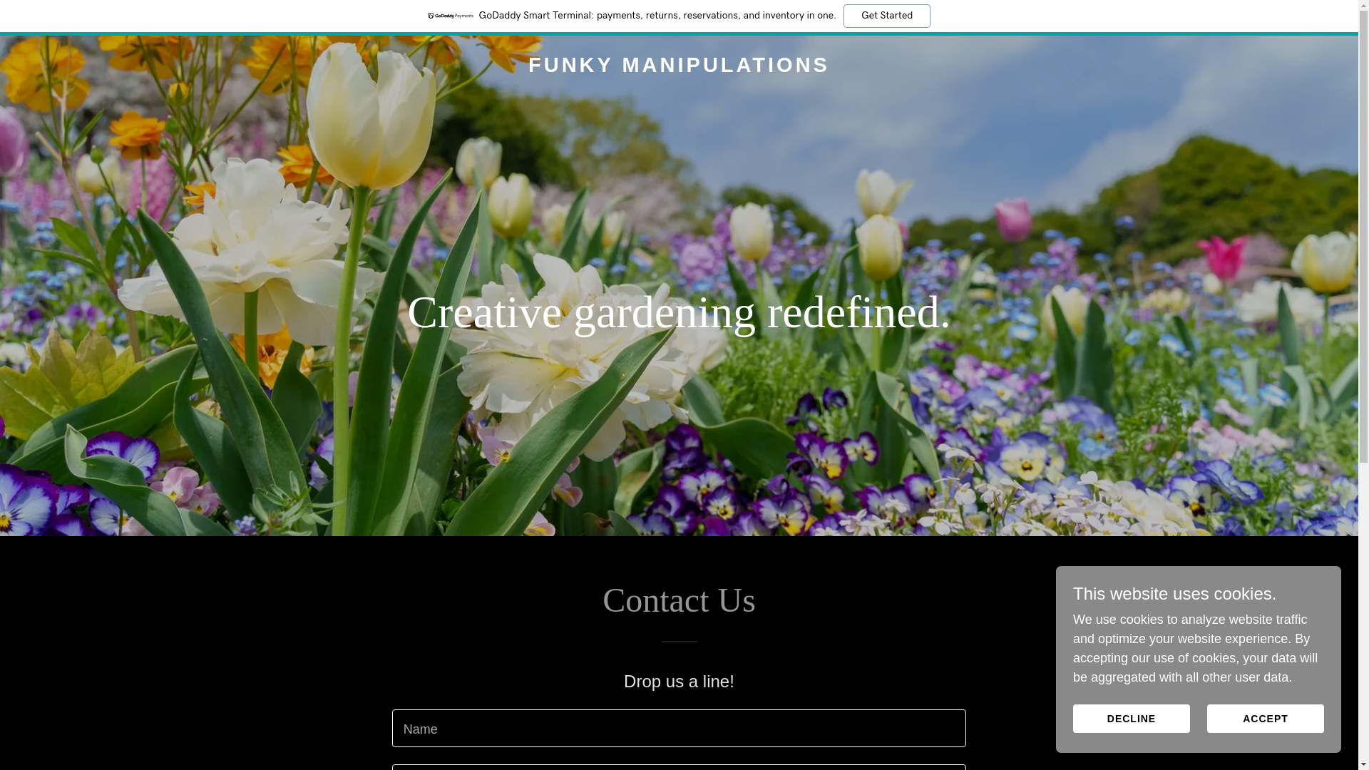 website screenshot of https://funkymanipulations.com/