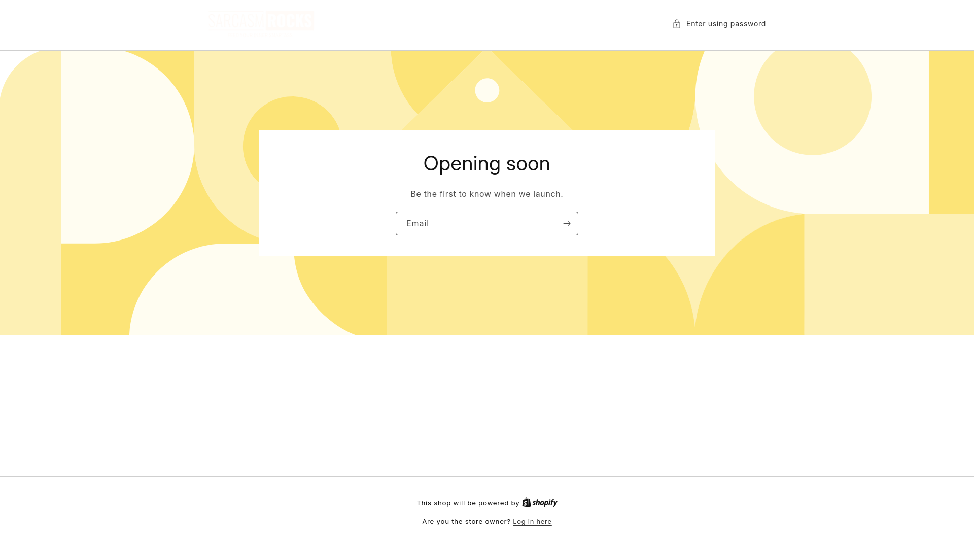 website screenshot of https://sudsandlights.com/