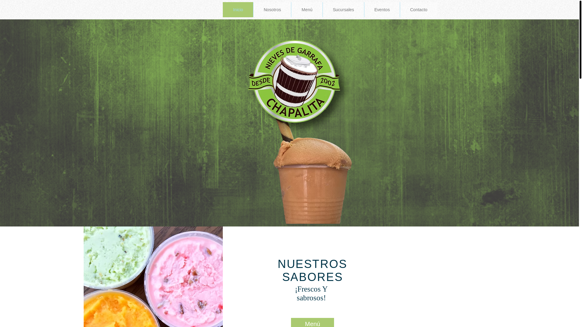 website screenshot of https://nieveschapalita.com/