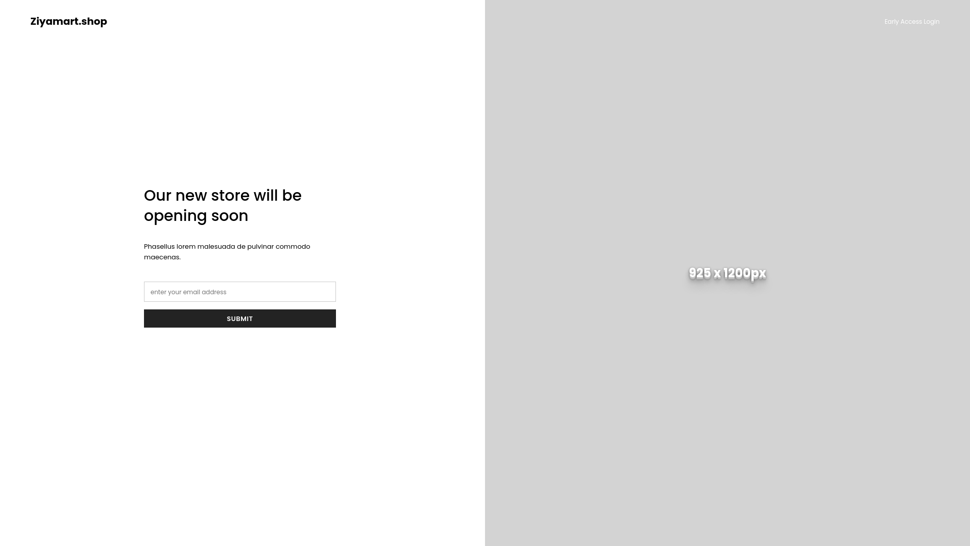 website screenshot of https://ziyamart.shop/