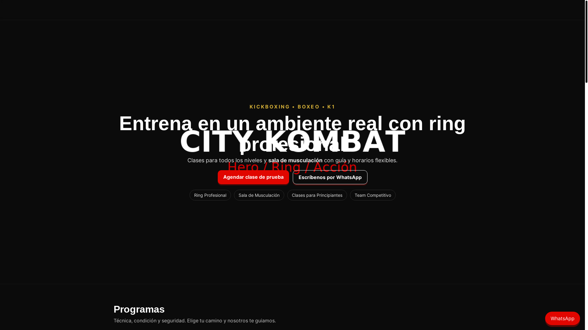 website screenshot of https://citykombat.cl/