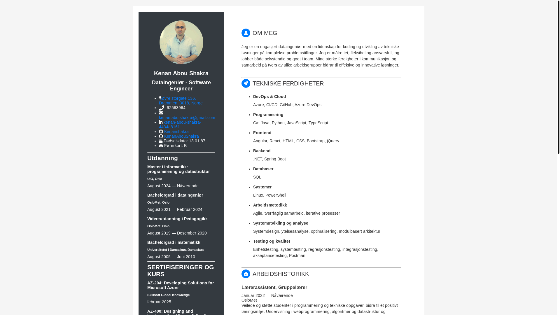 website screenshot of https://kenanaboushakra.github.io/CV/