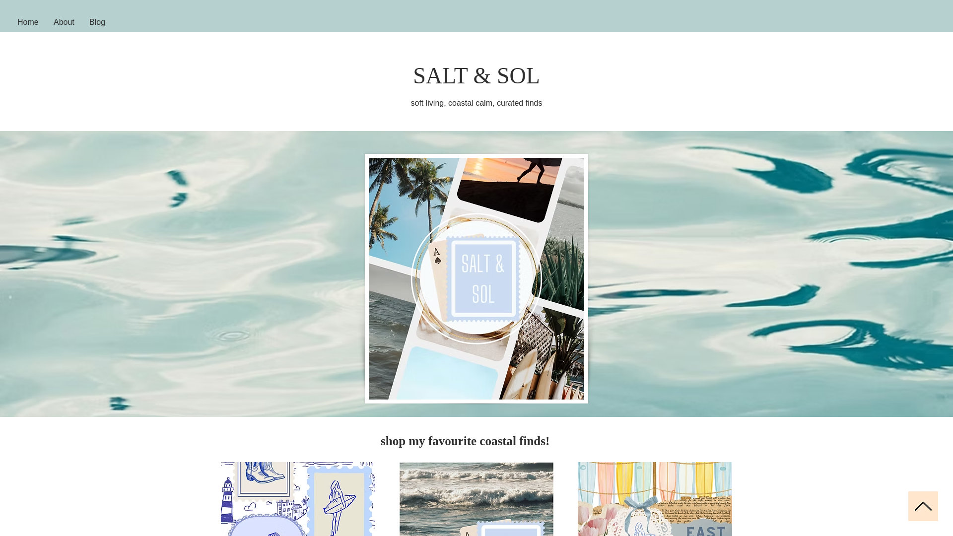 website screenshot of https://saltsol111.com/