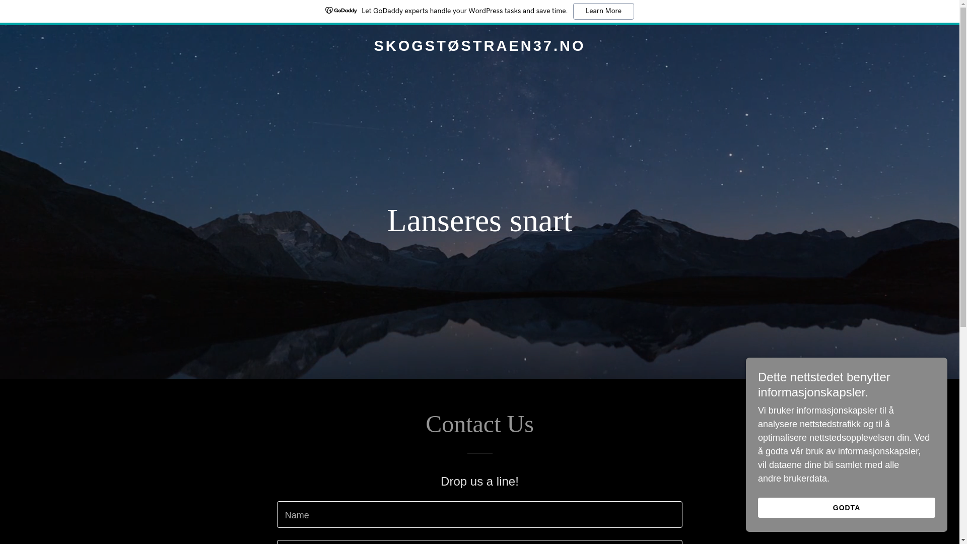 website screenshot of https://xn--skogststraen37-vqb.no/