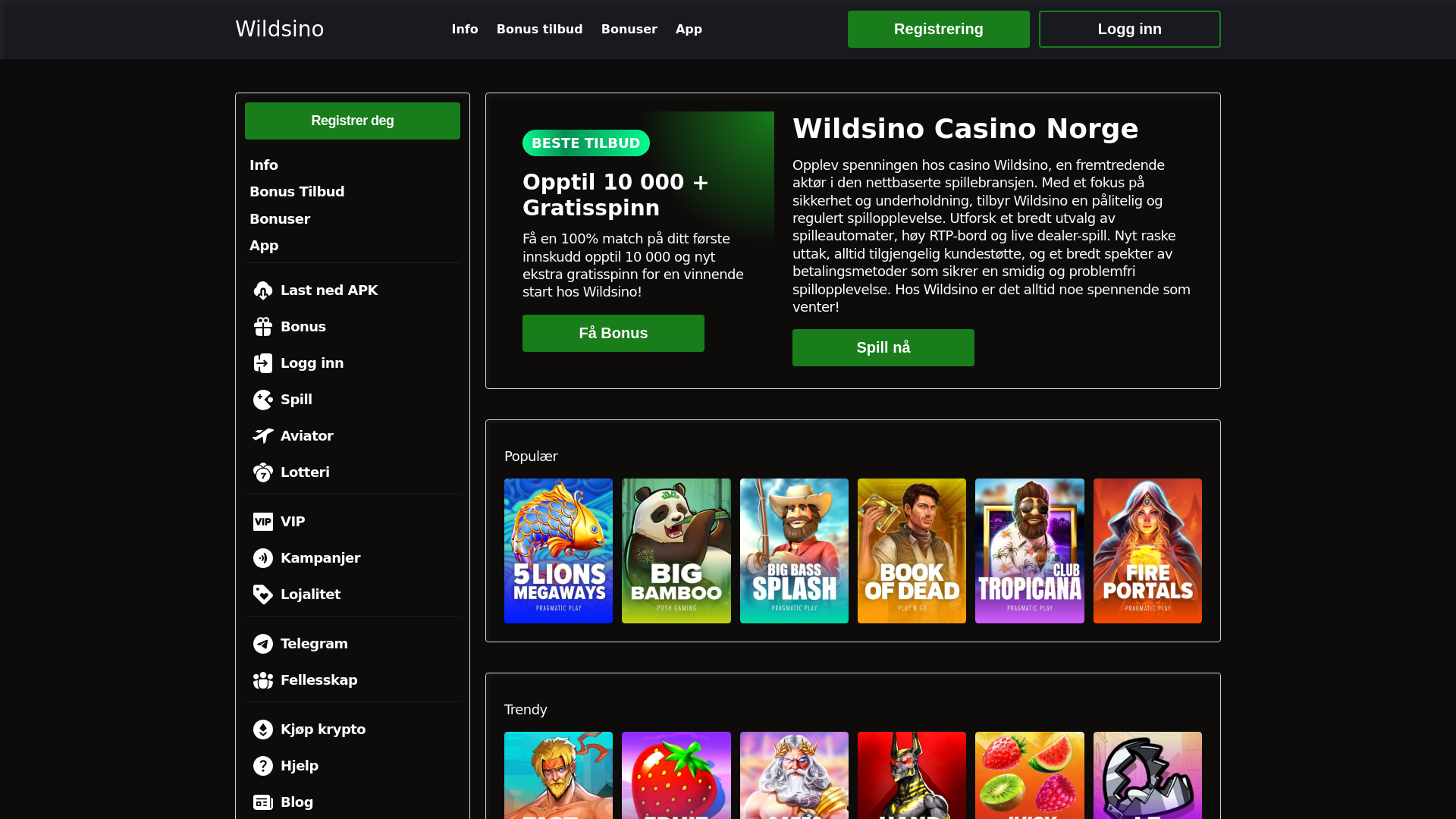 website screenshot of https://wildsinocasinonorge-com.pages.dev/