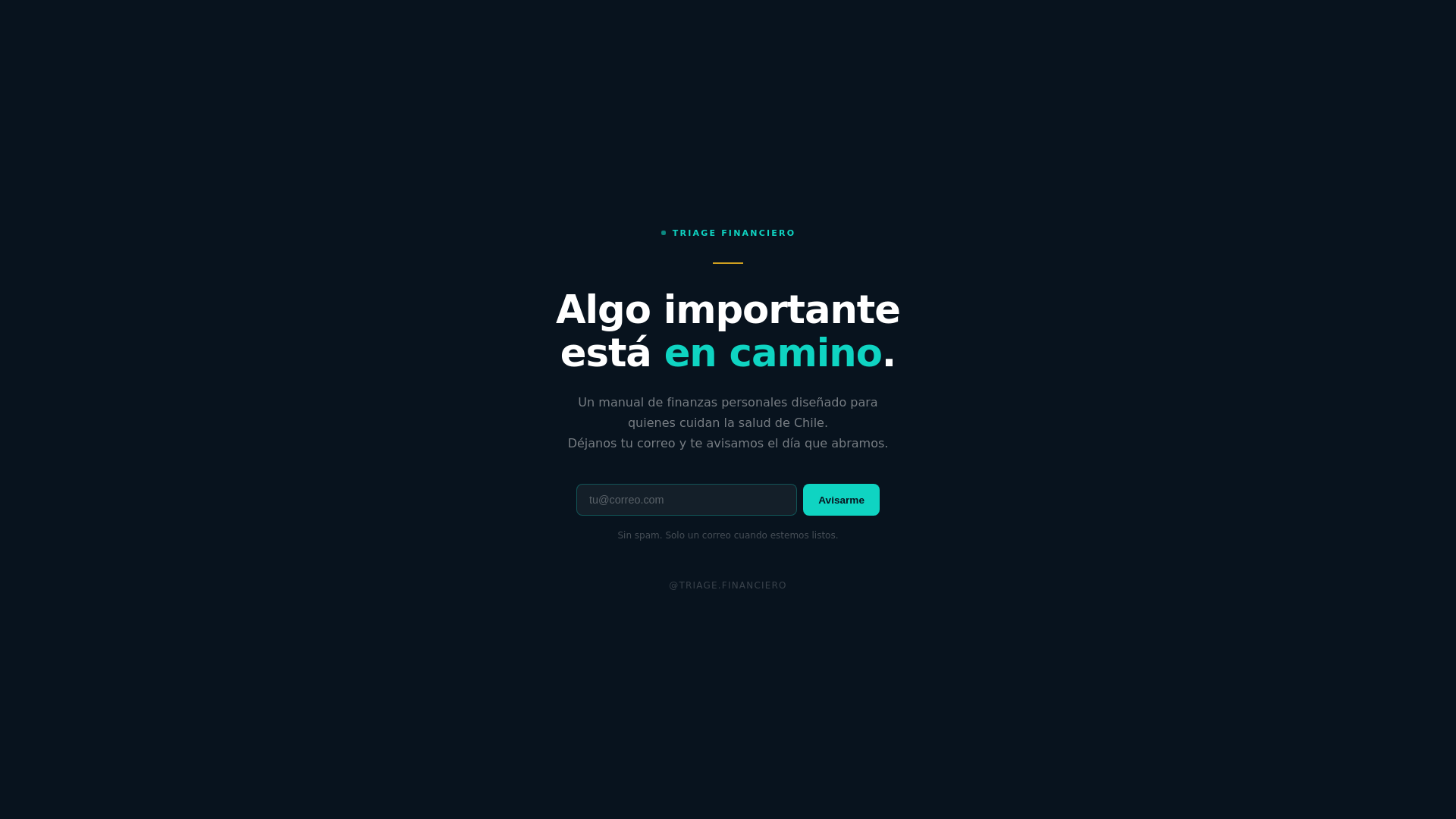 website screenshot of https://triagefinanciero.com/