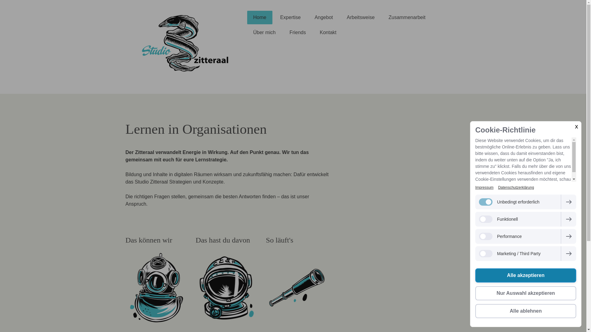 website screenshot of https://studio-zitteraal.ch/