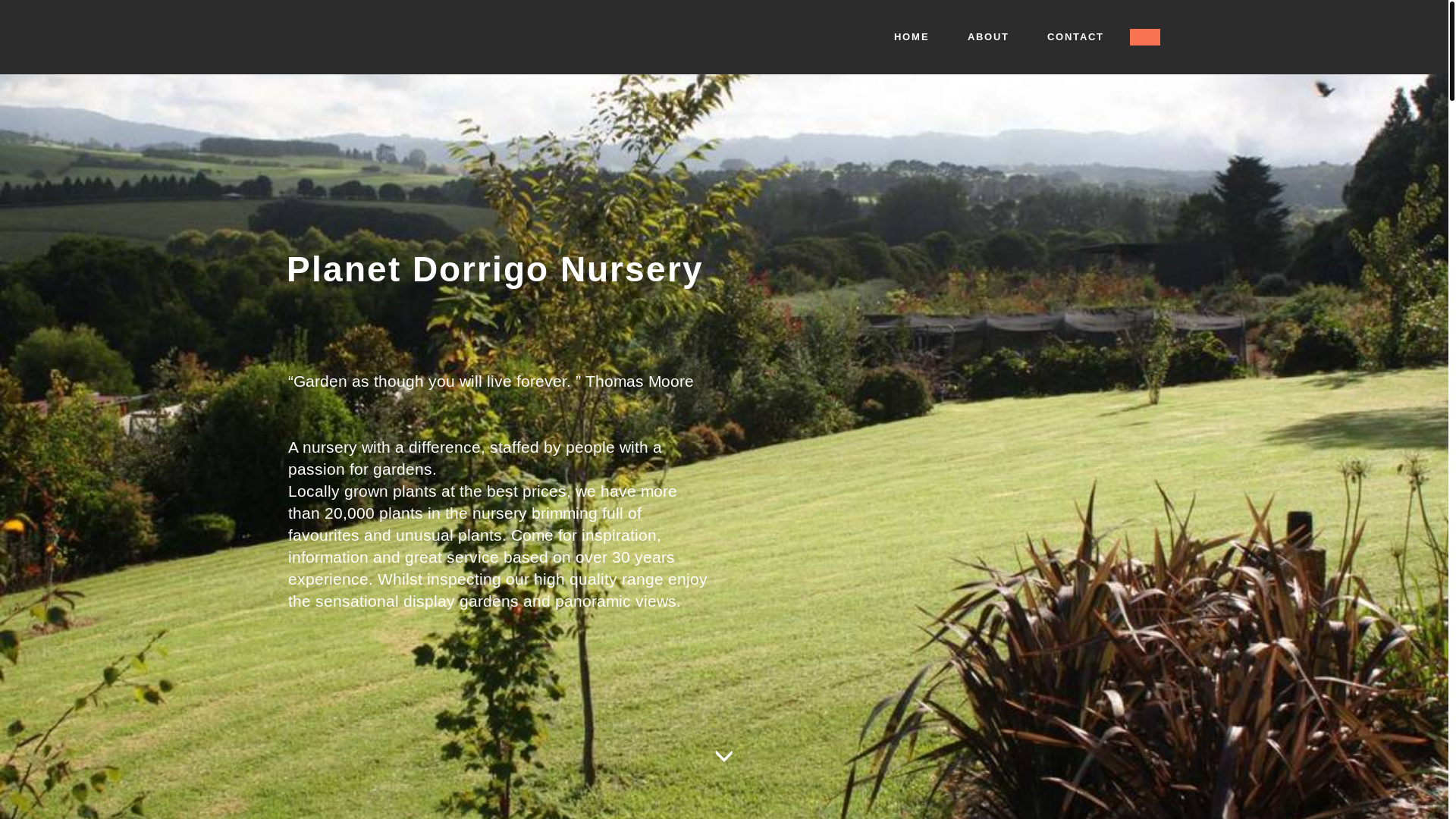 website screenshot of https://theplantsource.online/