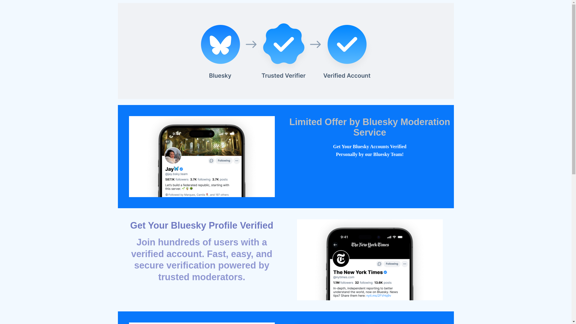 website screenshot of https://gotothebadge.pro/verify