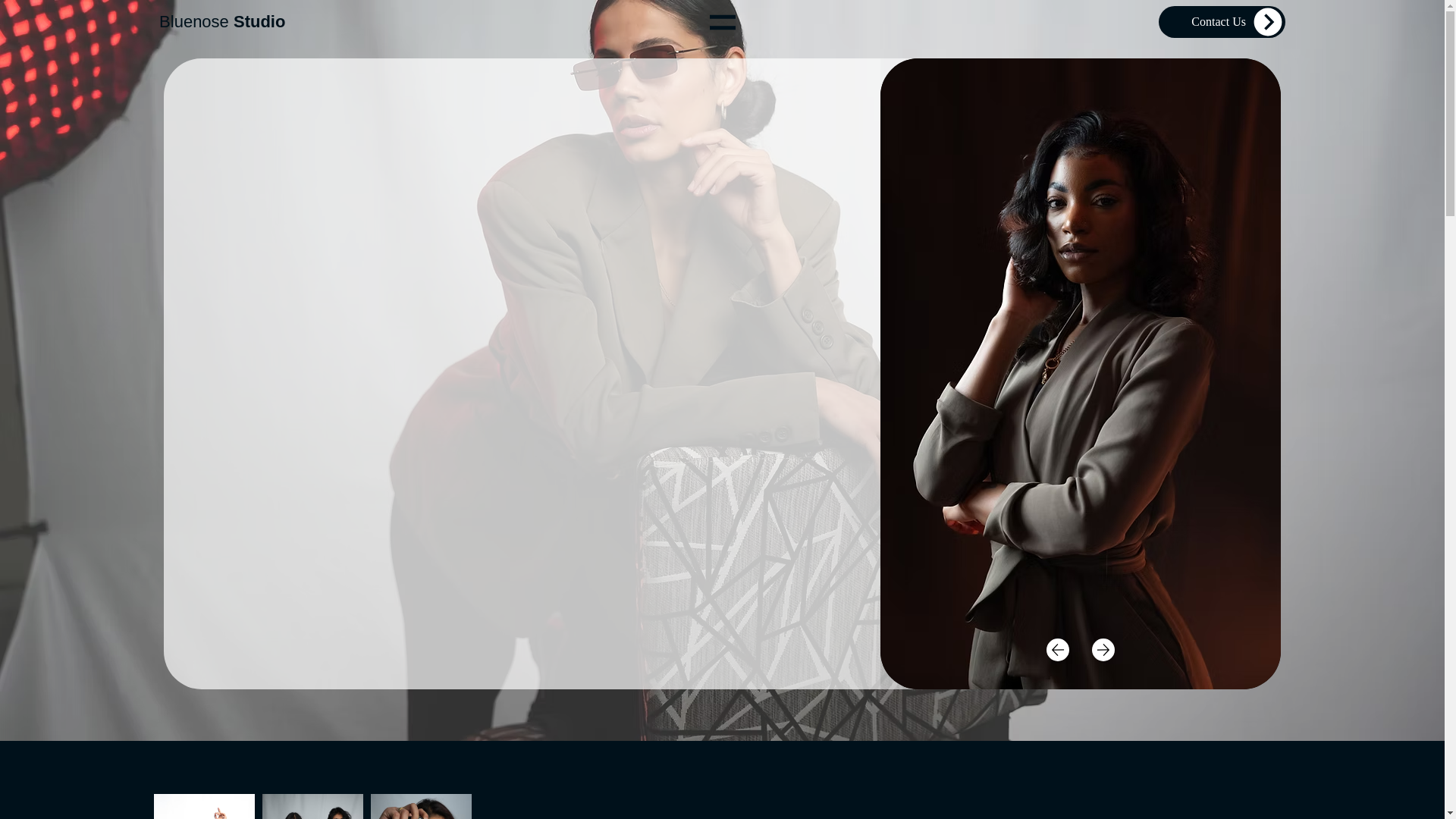website screenshot of https://bluenosestudio.ca/