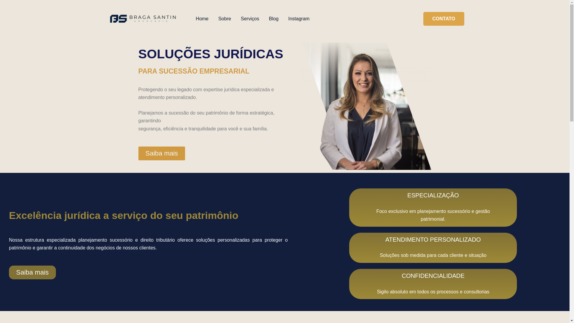 website screenshot of https://bragasantin.com.br/
