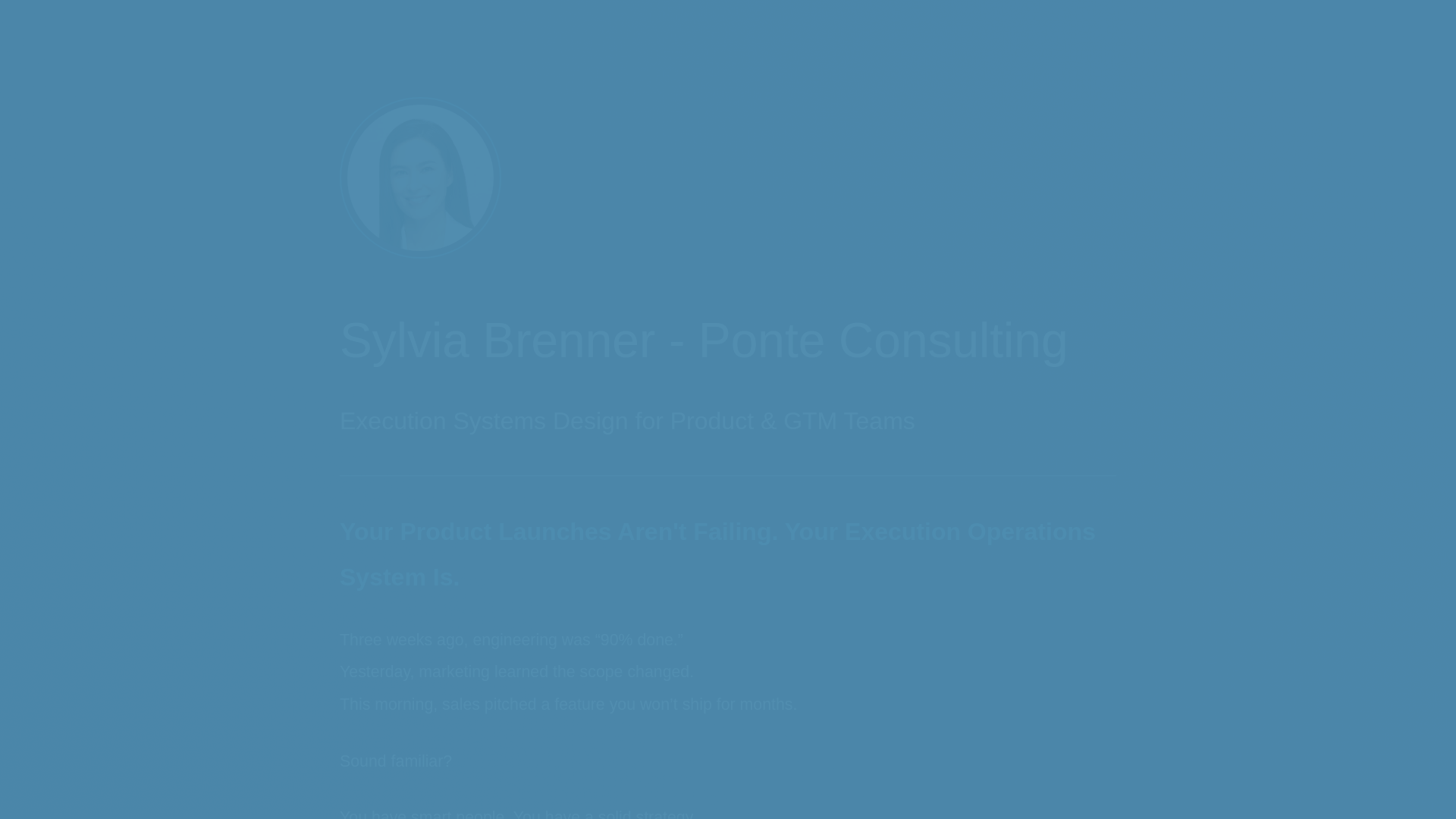 website screenshot of https://ponteconsulting.org/