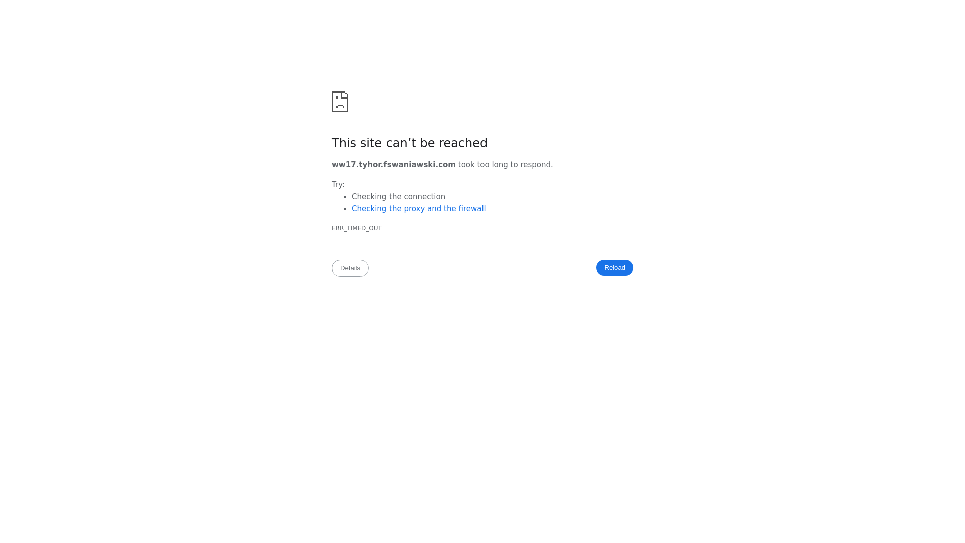 website screenshot of https://tyhor.fswaniawski.com