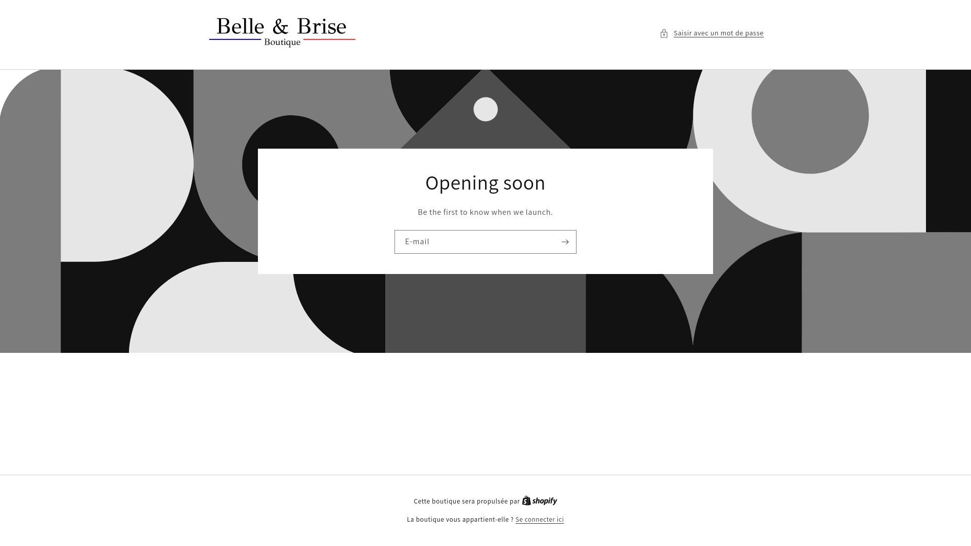 website screenshot of https://bellebriseboutique.com/
