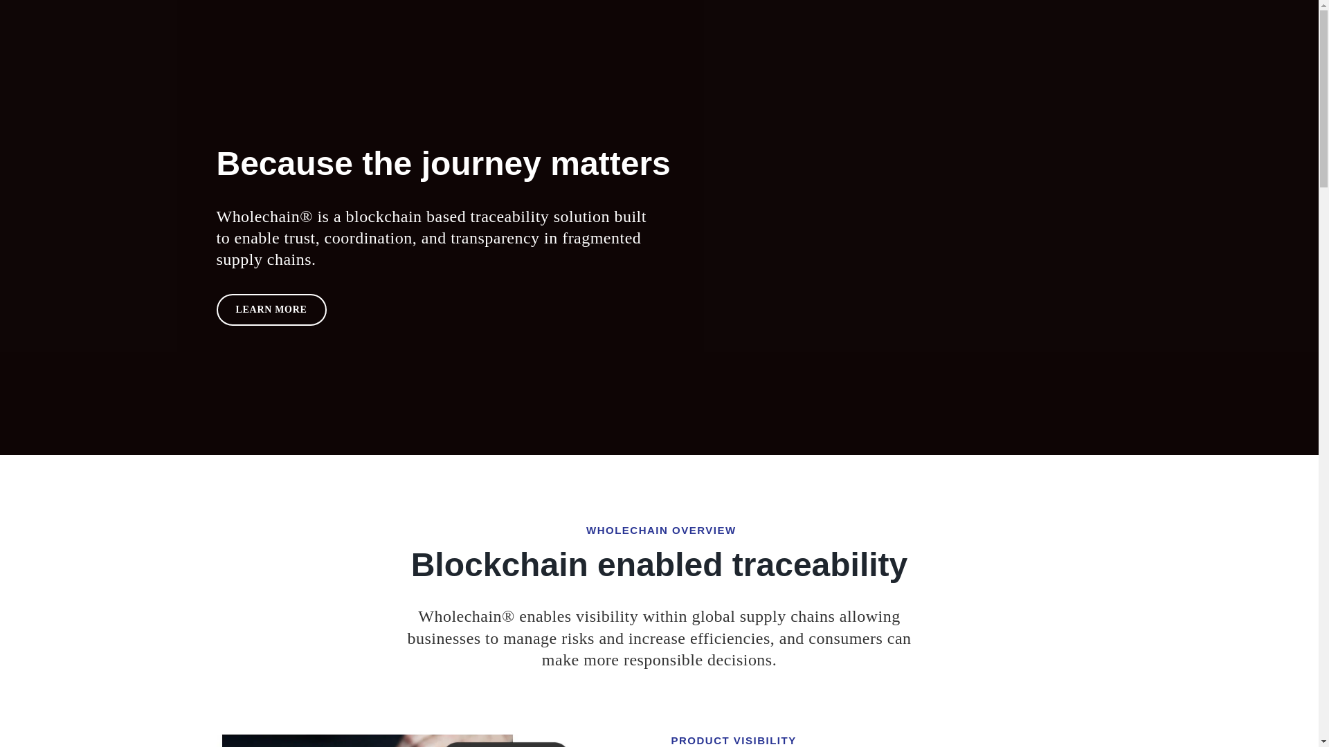 website screenshot of https://wholchain.com/
