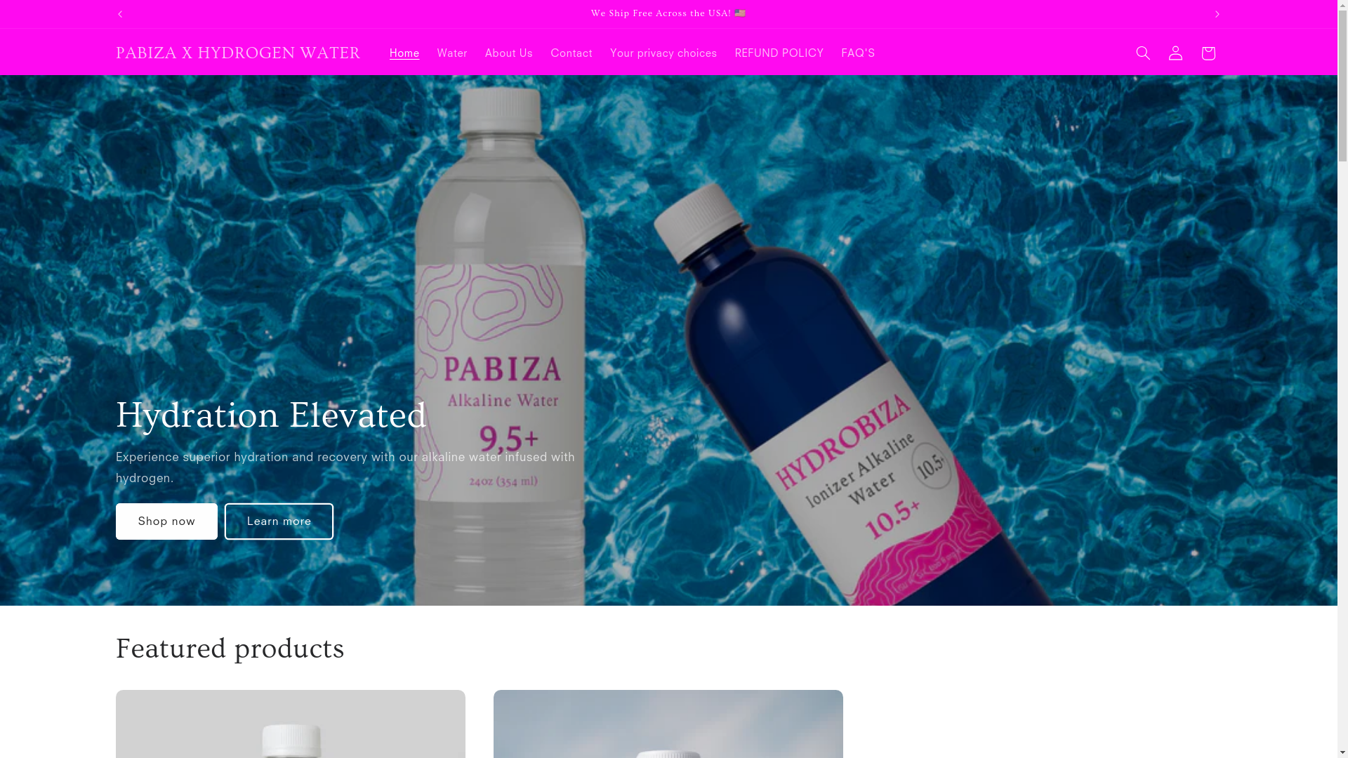 website screenshot of https://pabizawaters.com/