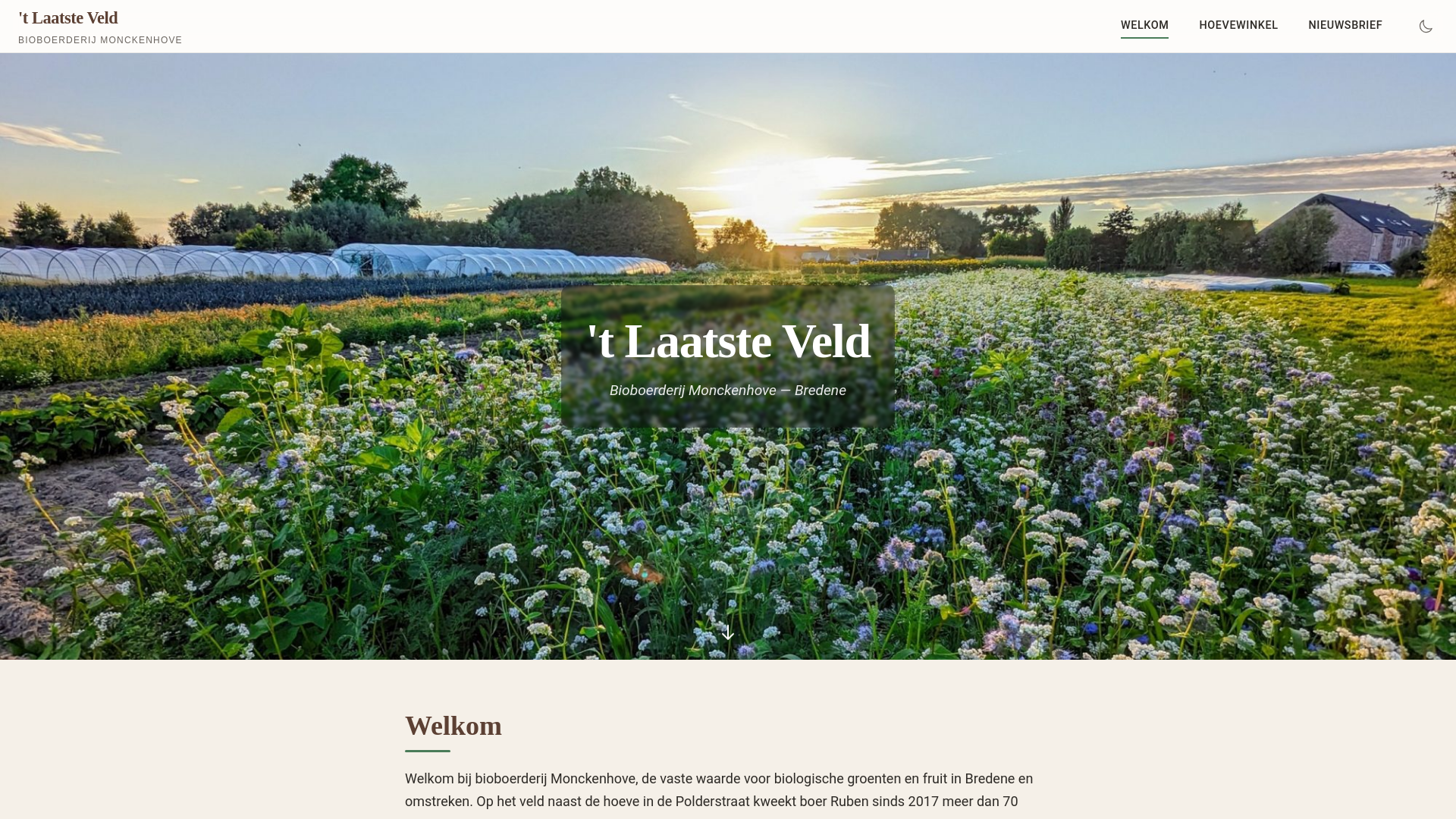 website screenshot of https://laatste-veld.pages.dev/