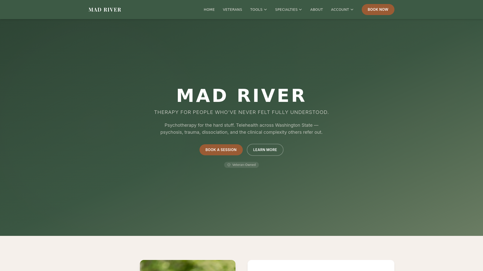 website screenshot of https://mad-river-therapy.org/