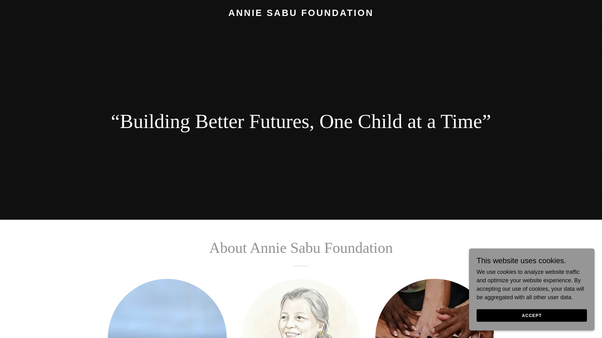 website screenshot of https://anniesabu.org/