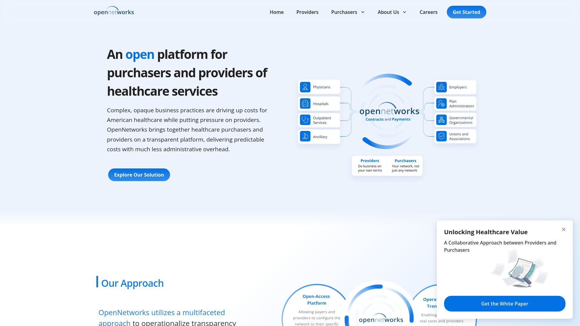website screenshot of https://opennetworks.online