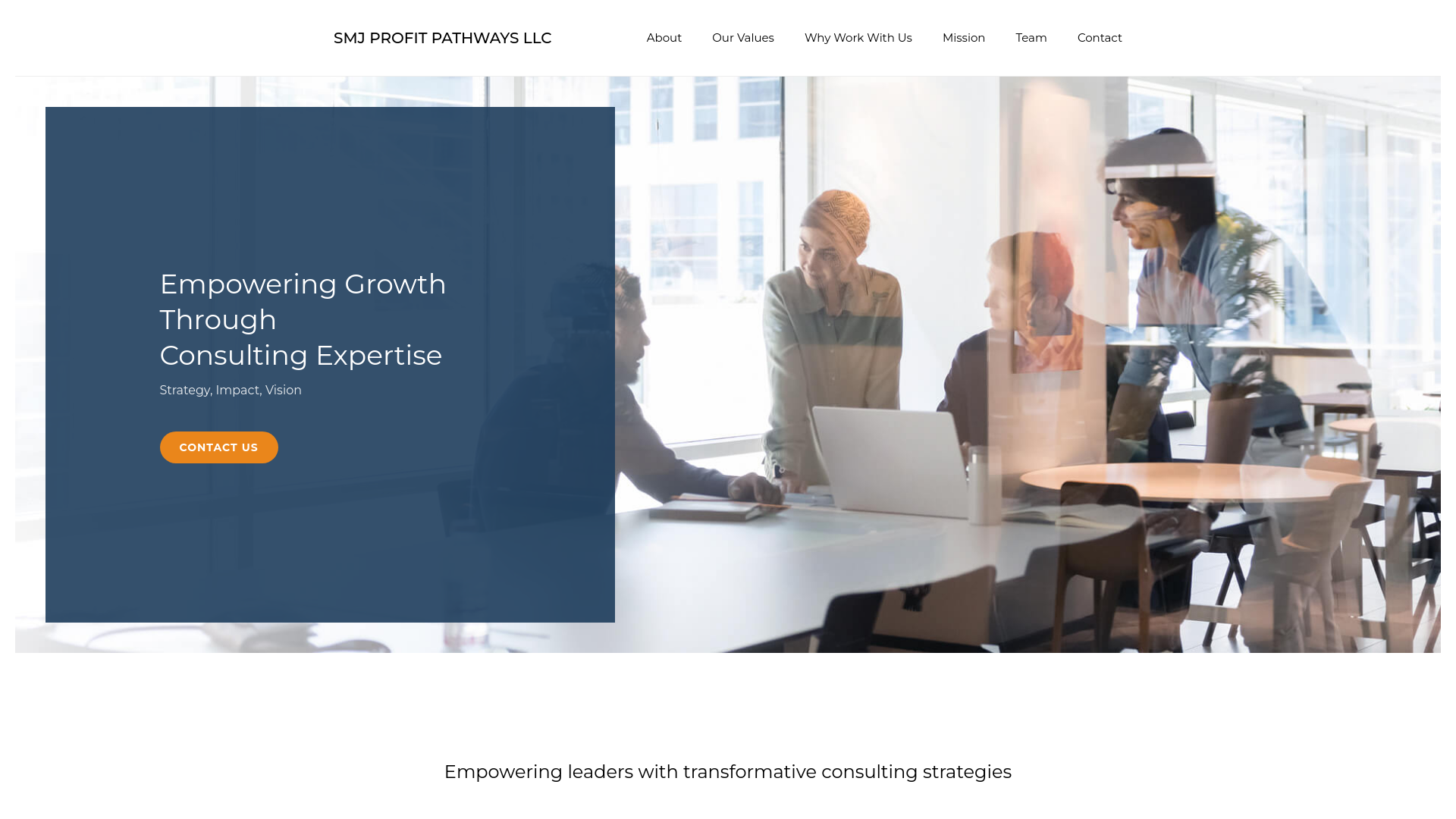 website screenshot of https://smjprofitpathwaysllc.com