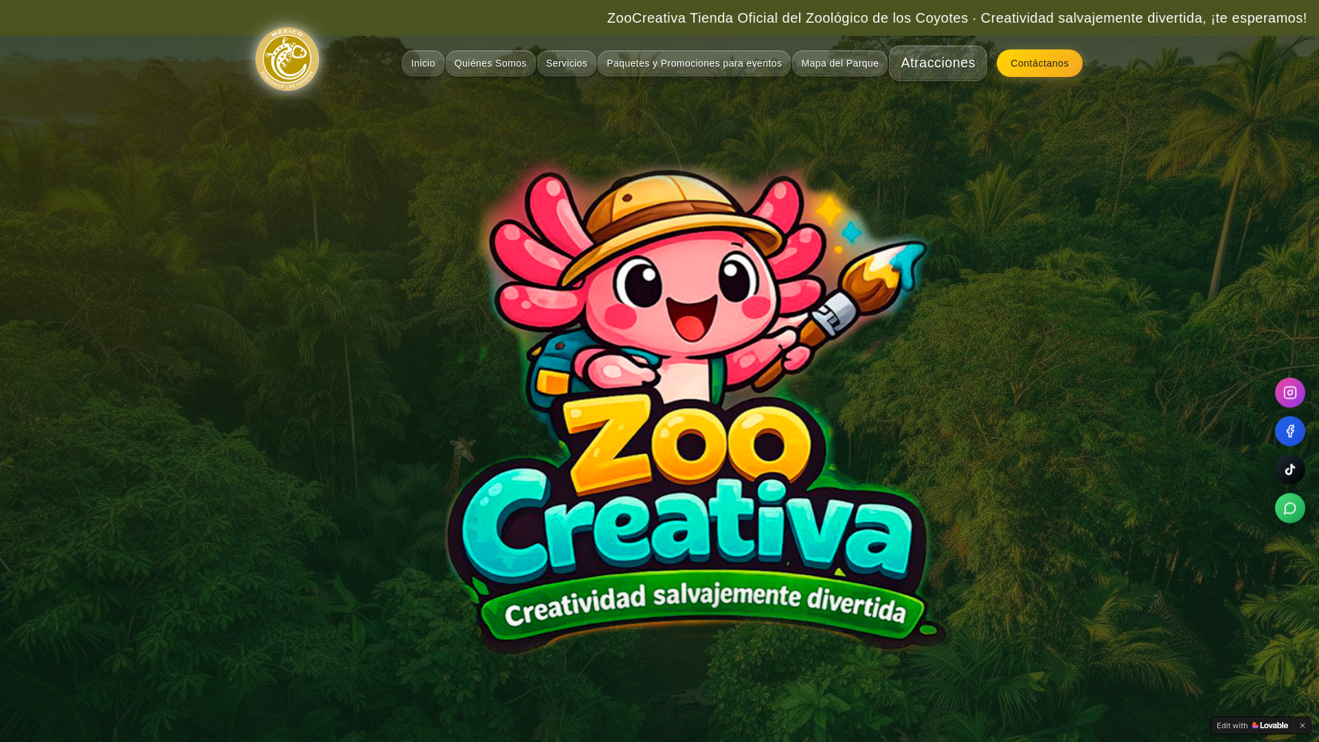 website screenshot of https://zoocreativa.com
