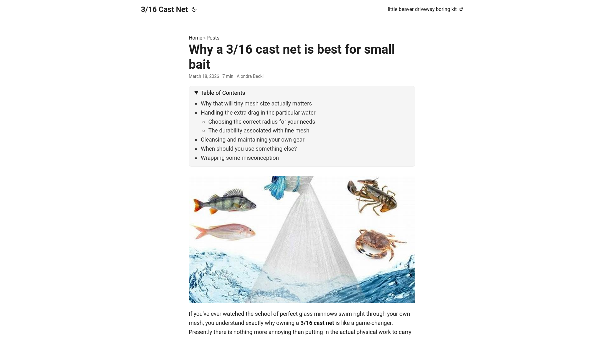 website screenshot of https://316-cast-net.pages.dev/